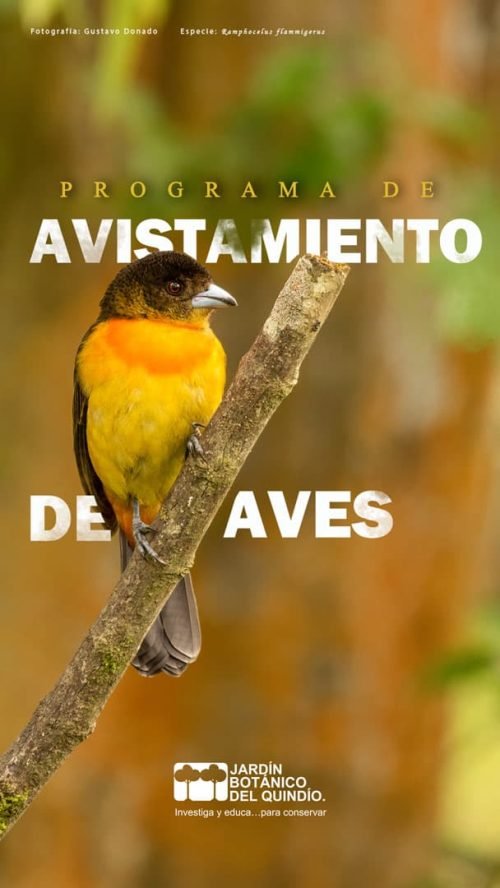 TOUR DE INTERPRETACIÓN AMBIENTAL ENFOCADO EN AVES