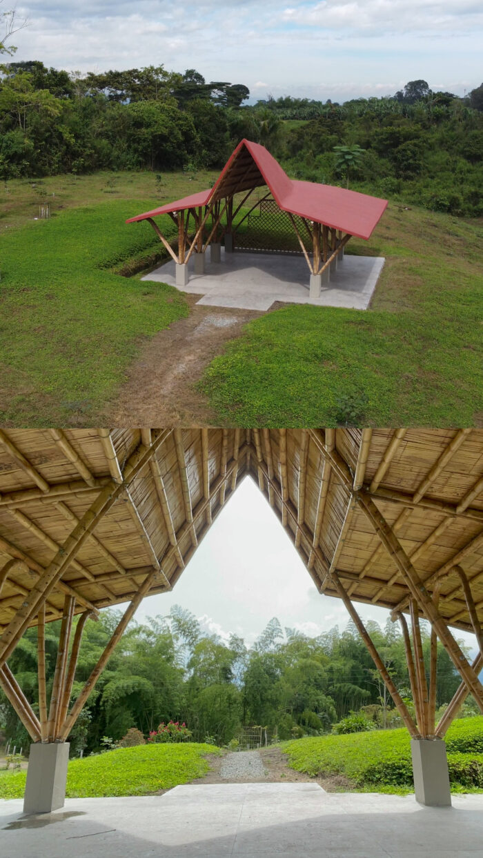 Bosque de los mil guayacanes - Imagen 3